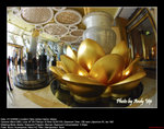 20081221089W