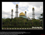 20080505086W