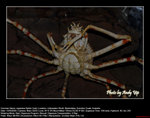 20080914128W