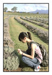 
200502270205(F)
