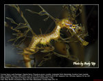 20080914095W