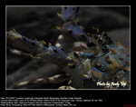 20071107014W