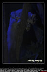 20071028062W