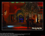 20081221386W