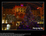 20081221388W