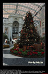 20081222002W