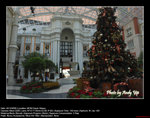 20081222004W