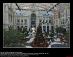 20081222006W