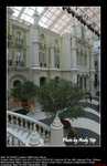 20081222007W