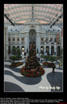 20081222009W