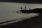 20081219078W