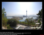 20081221008W