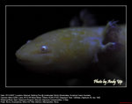 20071107125W