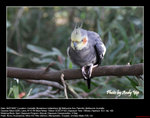 20070704094W