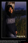 20061230134W