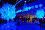 20081218007W