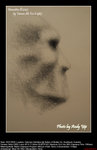 20090118094W