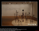 20090118096W