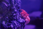 20080914012W