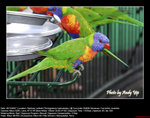 20071028230W