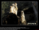 20070704187W