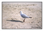 
200507110130(F)