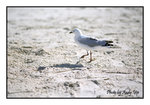 
200507110131(F)