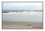 
200507120231(F)