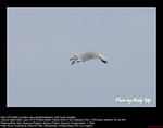 20090101064W