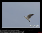20090101065W