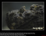 20071107076W