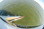 20090227016W