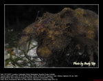20071107002W