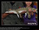 20070815015W