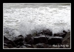 
200507120236(F)