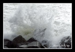 
200507120237(F)