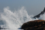 20081220036R copy