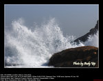 20081220036W