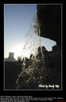 20081221166W