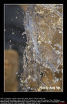 20081221184W