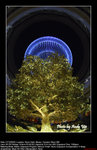 20081221343W