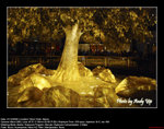 20081221347W