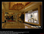 20081221355W