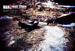 F1020033