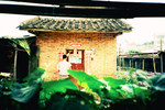 Lomo_556