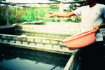 Lomo_559