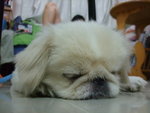 DSCF0035