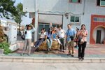 DSC00954