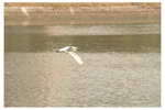 Nov 05 @ Shatin