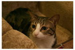 20080323_IMG_0013